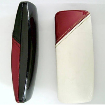 glasses case