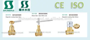 SS10801 Brass Gate Valve BSP thread oil and gas gate valve