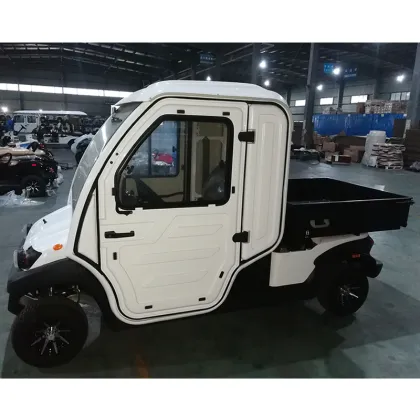 Electric Utility Vehicles for Elderly in EG Chinatown Neighborhood