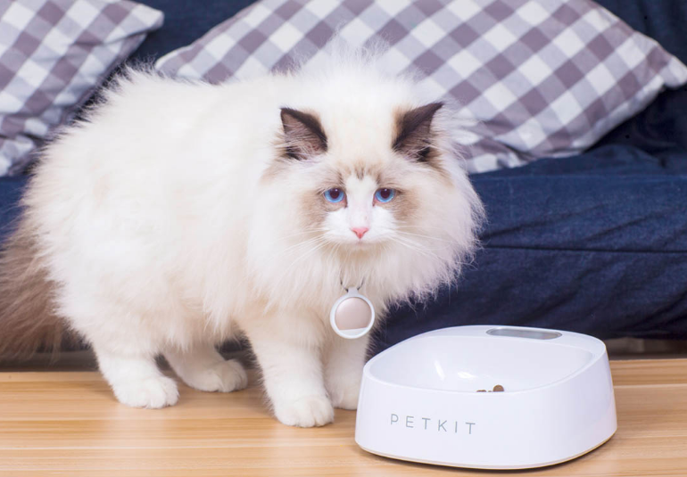 Xiaomi Petkit 450ml Pet Feeder Smart Weighing Bowl, High Quality Xiaomi ...