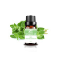 Top Quality Pure Oregano Oil for Nail and Skin