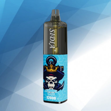 Italy Sidia 12000 puffs Wholesale Vape