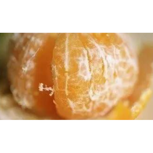 Citrus Extract powder HPLC