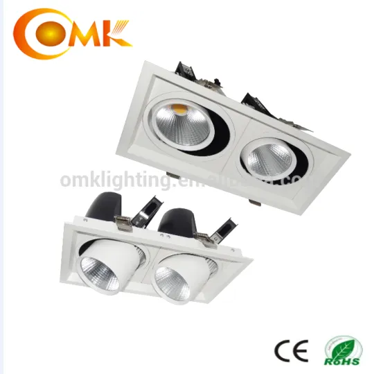 High power 40W double heads adjustable grille light fixture