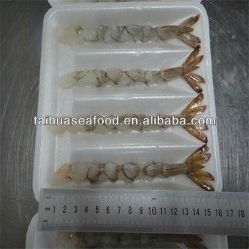 shrimp prawn