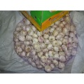 2020 Fresh Normal Garlic In Carton