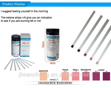 Rapid Response 1 Para Urinalysis Reagent Test Strips, 100 Count