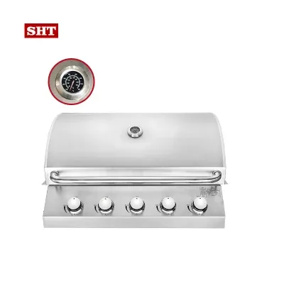 Outdoor Kitchen RV Barbeque Grill 2 in 1 Small Gas BBQ Grill