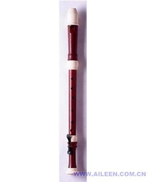 Wooden Copy Recorder