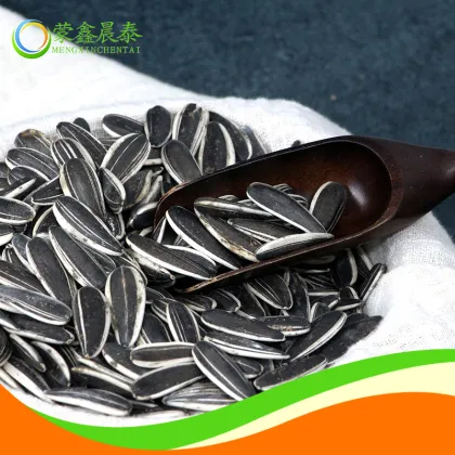 Sunflower Seeds Roasted Salted Chacha