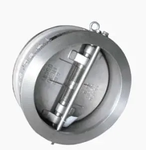 Dual Plate and Spring Check Valve