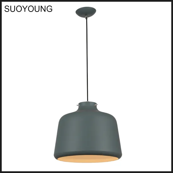 Home pendant light (MD8077-400)