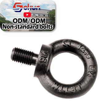 Corrosion-Resistant Stainless Steel DIN 580 Eye Bolt: Ideal for Handling Heavy Loads