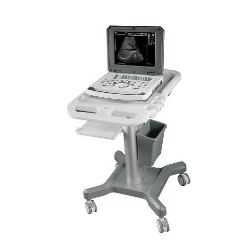 Ultrasound Machine Instrument Notebook Black &white Ultrasound Scanner Supplier