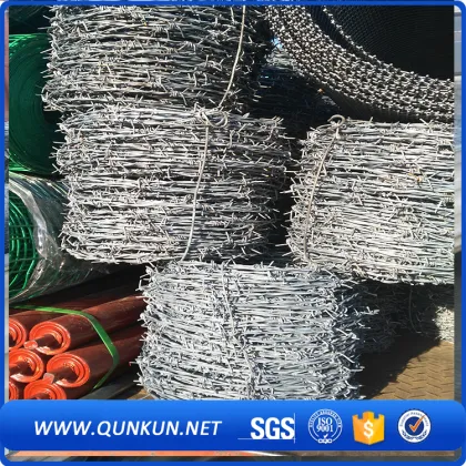 anti-theft galvanize barbed wire mesh