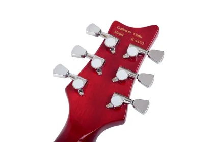 Stringed instruments custom electric guitar set