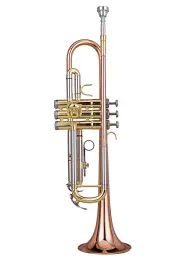 Trumpet