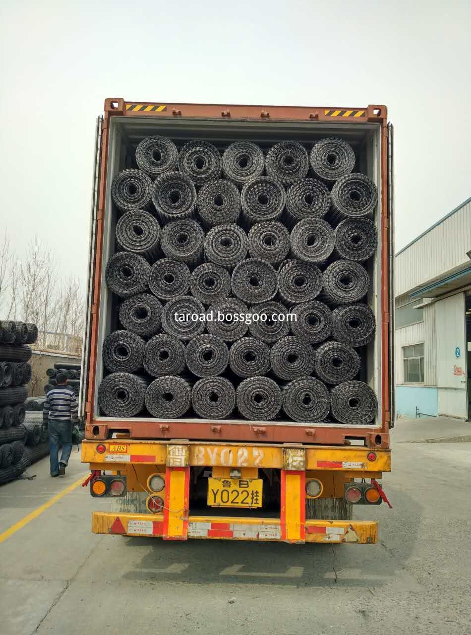 plastic geogrid for protection