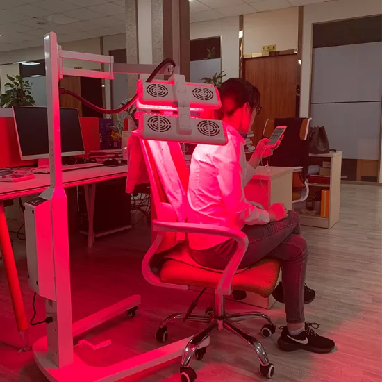 Sphynx Cat Supplies and Accessories in Canada