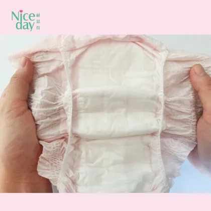 Disposable Bikini teens Period Panties