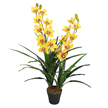 Linwoo JS3079-100 High Simulation Real Touch Artificial Orchid Plants for Wedding Home Garden Decoration