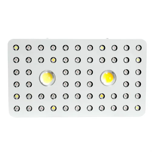 Best Value COB LED Grow light