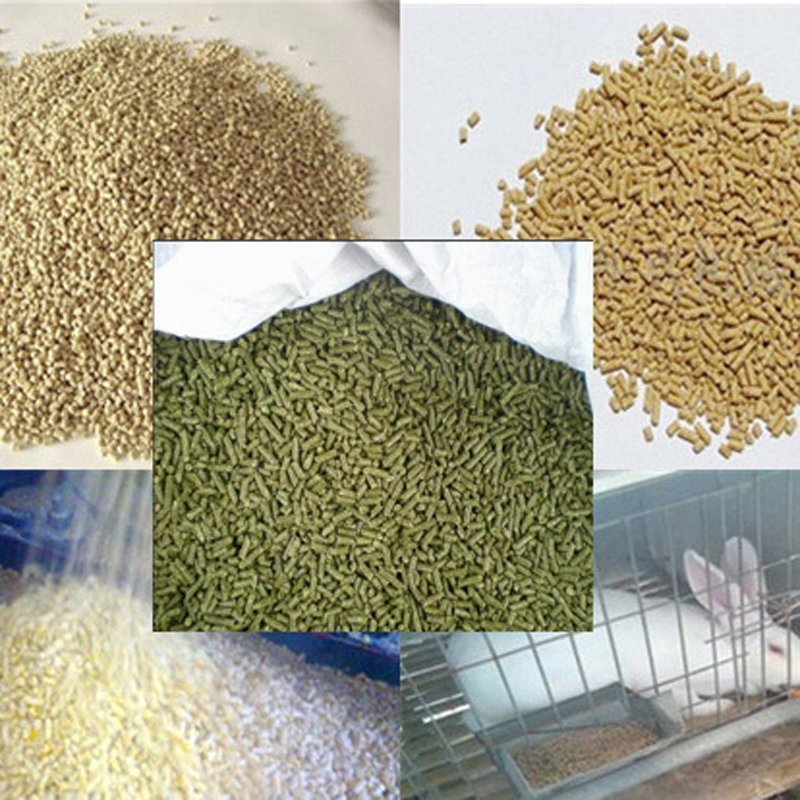 Corn Feed Pellet Mill para la promoción