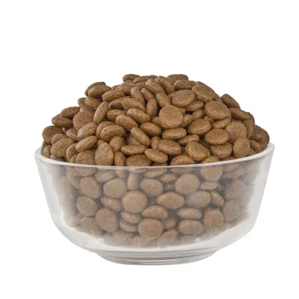 Enhanced Pitbull Dog Food: Boosting Muscle Strength & Vitality with High Protein and Energy