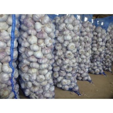 Kaufen Sie Normal White Garlic New Crop 2020