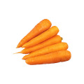 Gefrieren getrocknetes Hälften von Karottenpulver
