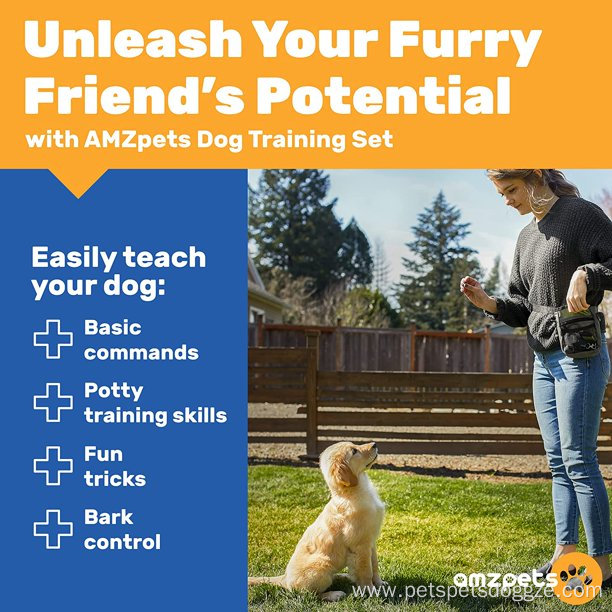 dog Bark Control and Potty Training