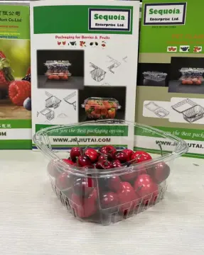 Grape Disposable Plastic Box
