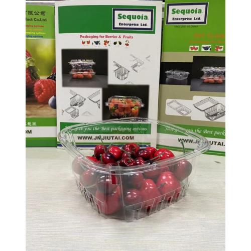 Bac à fruits mûres en plastique jetables à vendre