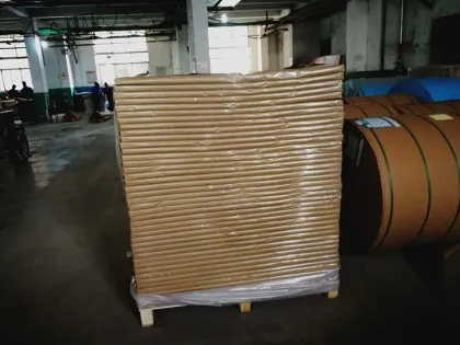 Handbag Color Card Paper