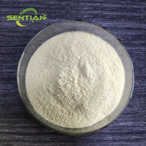 Organic Plant Extract Enhanced Whey Protein Isolate