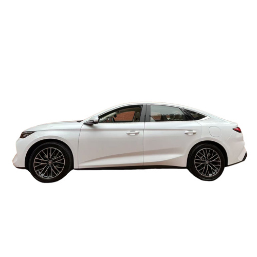 Best-selling new energy vehicle BYD Qin L