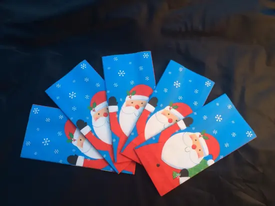 Fashion Christmas Gift bag