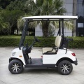 2 Seater Electric Golf Cart For Sale