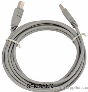USB Am - Bm Cable plata