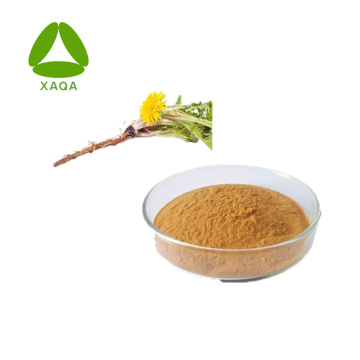 Liver Health Dandelion Root Extract Flavonoids 2%-10% Powder