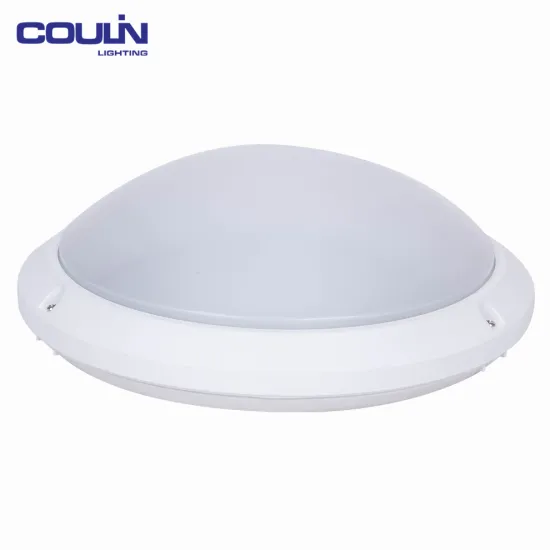Factory Direct Sales Eco-Friendly Fashion Led Roof Light