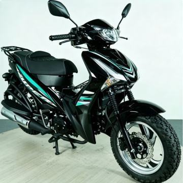 موتور سیکلت دو چرخ گازی 110 سی سی زیربنی ZF110