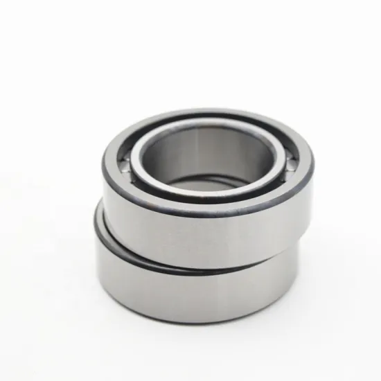 SHJZ China Brand High Quality Cylindrical Roller Bearing SL192305 NCF2305V