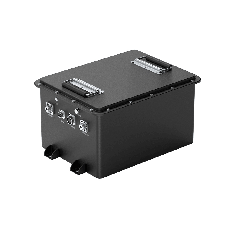 12 V bis 96 Vcharger Elektrische Scoooterlithium -Ionen -Auto -Batterie