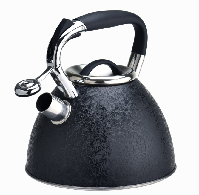 Shining Color Coffee Teapot Kettle 353