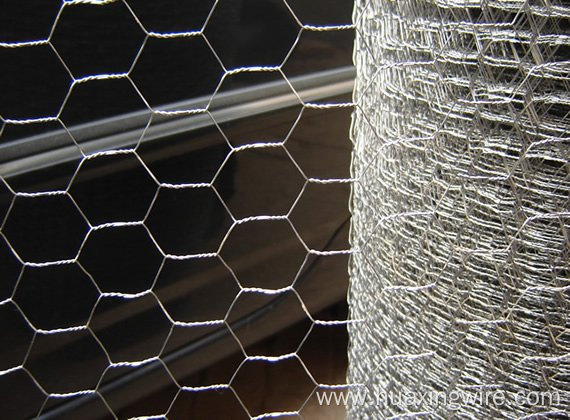 Hot dipped galvanized chicken mesh