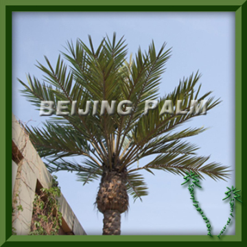 large palm leaf for telecom monopoles camouflaged