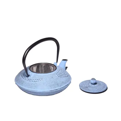 Japanese Cast Iron Teapot with Stainless Steel Kung Fu Infuser for Oolong Tea