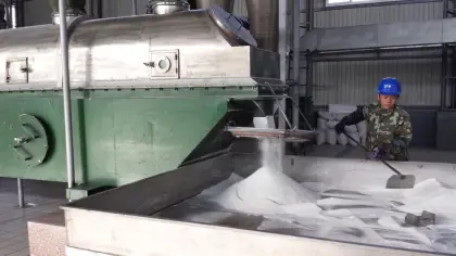 Dicyandiamide Chemical raw materials guanidine salt