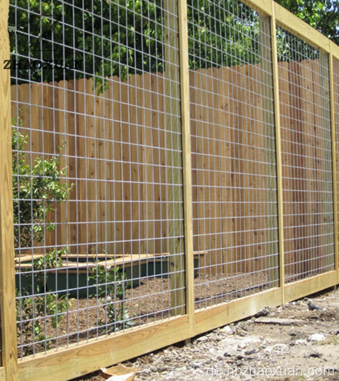 Hochwertige, verzinkte schweißte Drahtgitterpreise